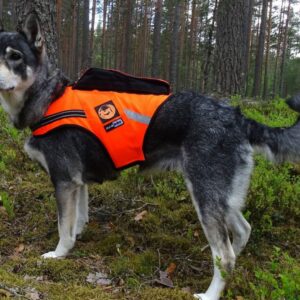 Kardog JEHU kelluttava GPS-huomioliivi