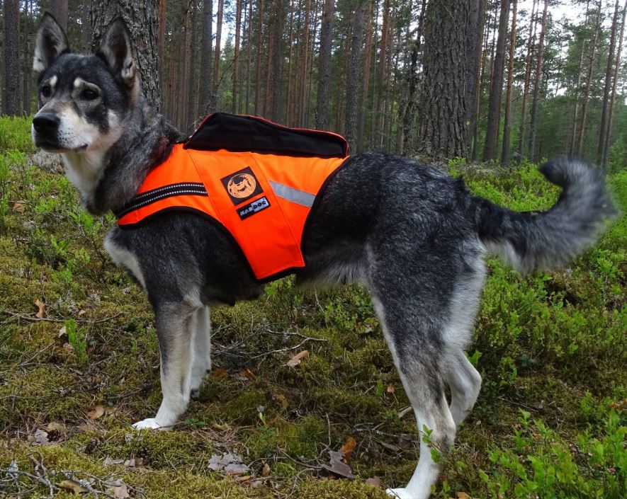 Kardog JEHU kelluttava GPS-huomioliivi