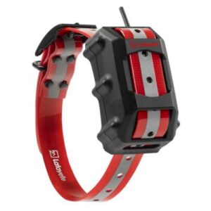 Lafaytte C 40 GPS + etupaketti